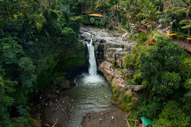 Full Day Private Guided Tour to Bali - Sacred Monkey Forest Sanctuary in Ubud