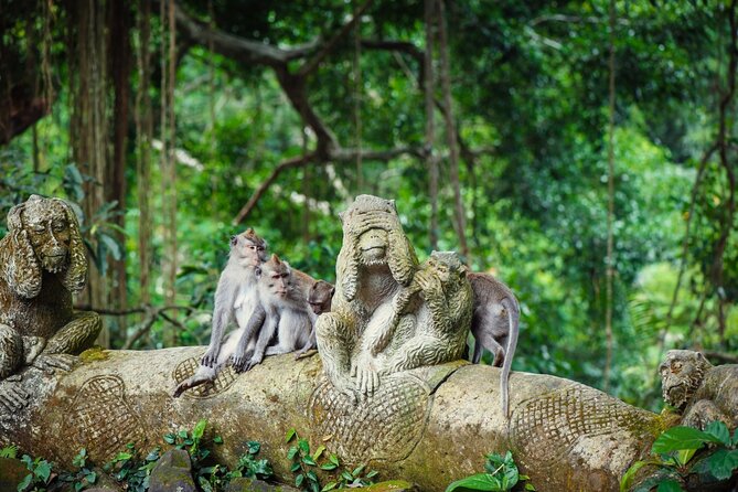 Full Day Private Guided Tour to Bali - The optional stops require realistic planning