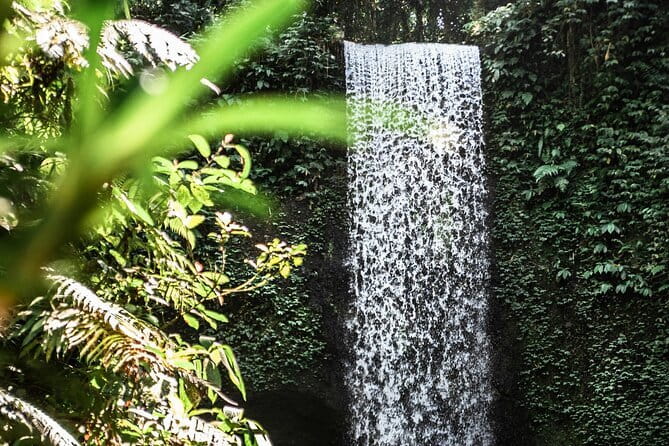 Full Day Private Tour All Inclusive Hidden Gems Bali Waterfall - Lunch with Indonesian food between the falls