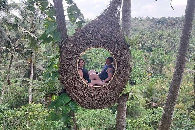 Full Day Private Tour from Tegenungan Waterfall to Tanah Lot - Tegalalang Rice Terrace and the subak tradition