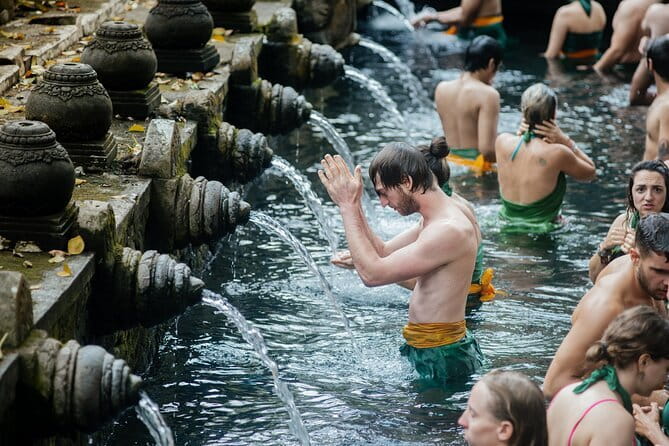 Full Day Private Tour from Tegenungan Waterfall to Tanah Lot - Private guides and the service you can expect
