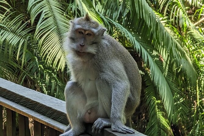 Full Day Private Tour to Ubud Waterfall and Tanah Lot Sunset - Tanah Lot at sunset