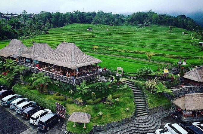 Full Day Private Water Temples Tour in Bali - The driver can shape the experience