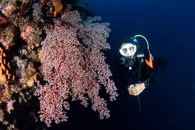 Full-Day Scuba Diving Experience of USAT Liberty in Tulamben - Getting ready with equipment and porter help