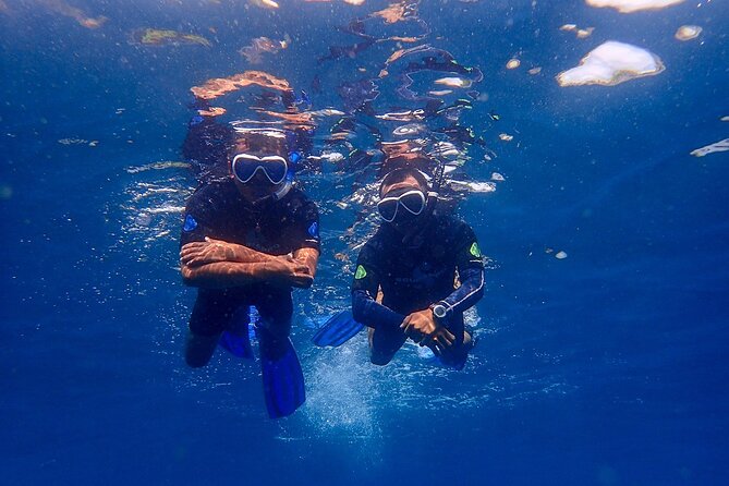 Full-Day Scuba Diving Experience of USAT Liberty in Tulamben - Coral Garden for the second 30 to 45 minutes