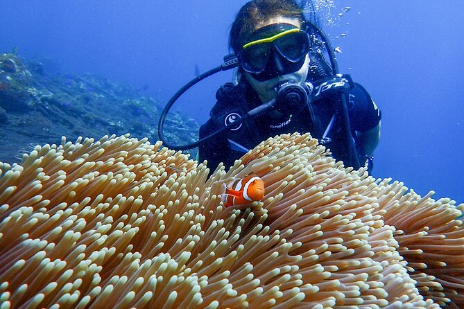 Full-Day Scuba Diving Experience of USAT Liberty in Tulamben - The 7:30 a.m. pickup from Jimbaran