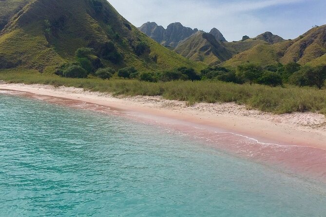 Full Day Tour to Komodo Island By Speed Boat to explore 6 destinations - Komodo Island: the reason most people book