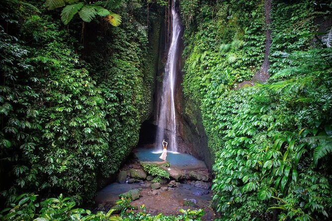 Full-Day Tour to Water Temples and UNESCO Rice Terraces in Bali - What the private vehicle adds