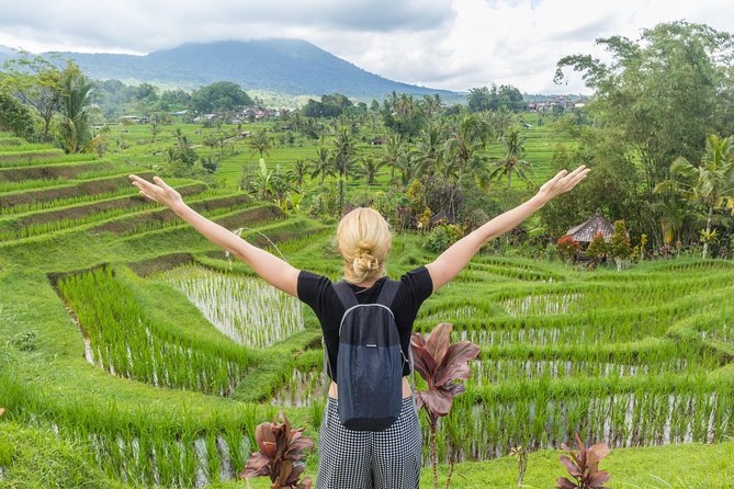 Full-Day Tour to Water Temples and UNESCO Rice Terraces in Bali - Price, meal choices, and overall value