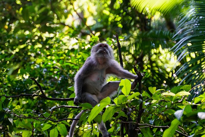 Full Day – Ubud Art Village and Mount Batur Kintamani with Lunch - Puseh Batuan Temple and the Kori Agung gate