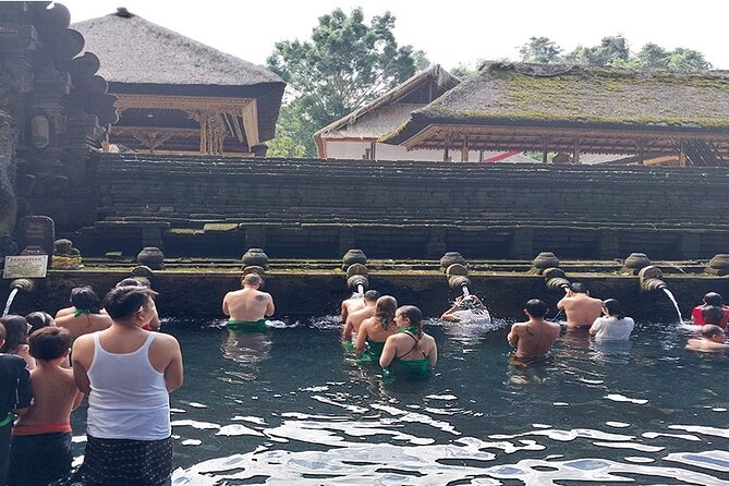 Full Day Ubud Tour - What the $95 price really covers