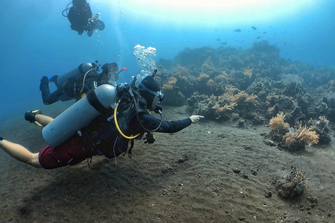 Fun Diving Tulamben Bali - For Certified Divers - Reaching the wreck by shore