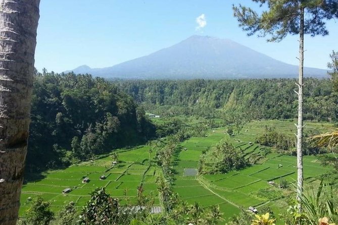 Gate Heaven Lempuyang Tirta Gangga East Bali Private Guided Tour - What the guides add to the day
