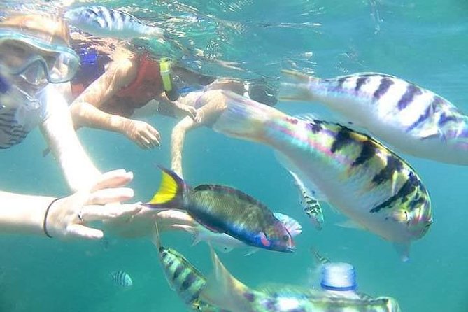 Gate Heaven Tirta Gangga With Snorkeling Private Guided Tour - Two East Bali snorkel sites before the temples
