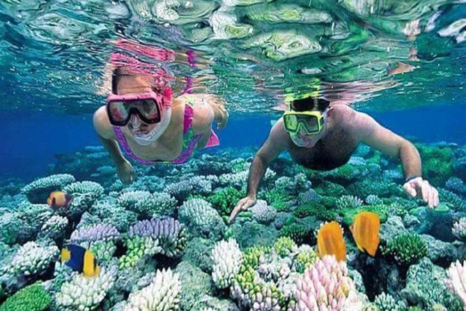 Gate Heaven Tirta Gangga With Snorkeling Private Guided Tour - Tanjung Jepun adds a second water setting
