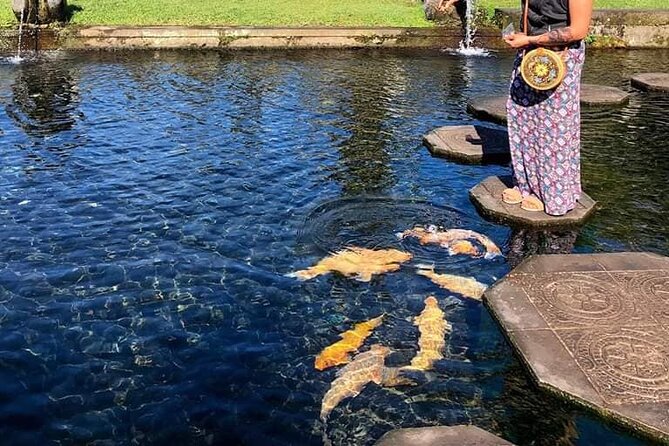 Gate of Heaven Tour With Guide : All-Inclusive Best Experience - Lunch at Wapa di Ume is more than a meal