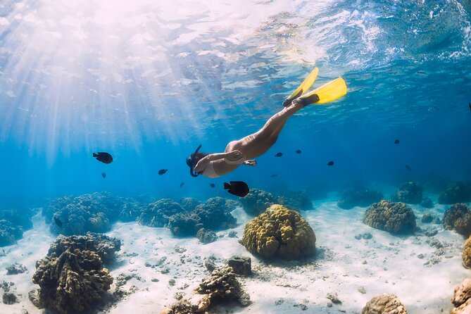 Gili Air : Private Snorkeling with 4 spots - Why a private boat makes such a difference