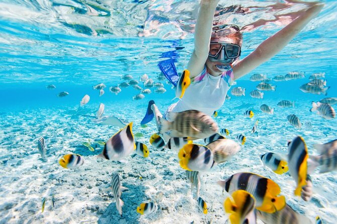 Gili Air : Private Snorkeling with 4 spots - The Underwater Sculpture adds a human touch