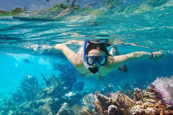 Gili Air : Private Snorkeling with 4 spots - What the $51.67 price means
