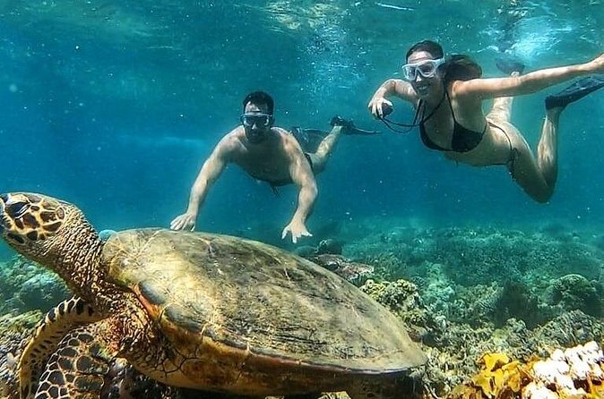 Gili Air : Private Snorkeling with 4 spots - What the available feedback tells me about service