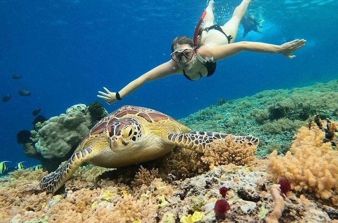 Gili Air: Snorkeling 3 Gili Islands with GoPro Camera - The one-hour pause on Gili Meno