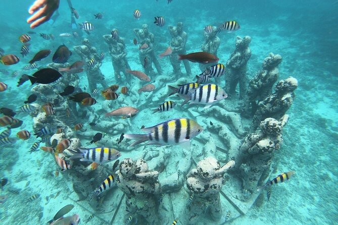 Gili island Snorkeling Half Day Trip departure from Gili Trawangan - Key points to know before booking