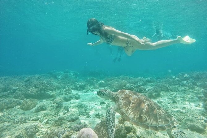 Gili island Snorkeling Half Day Trip departure from Gili Trawangan - Gili Meno’s Nest sculptures and nearby turtles