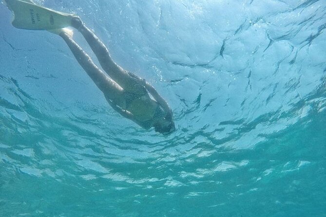 Gili island Snorkeling Half Day Trip departure from Gili Trawangan - Shared boat or private trip?