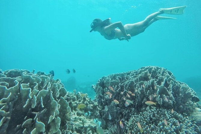 Gili island Snorkeling Half Day Trip departure from Gili Trawangan - Choosing your departure time