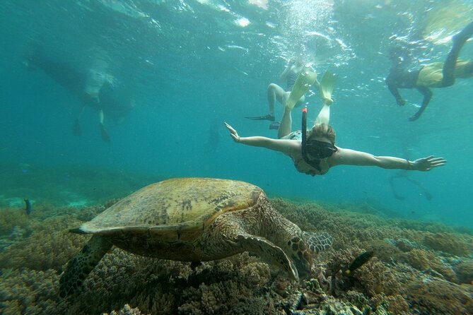 Gili island Snorkeling Half Day Trip departure from Gili Trawangan - Who will enjoy this Gili snorkeling trip?