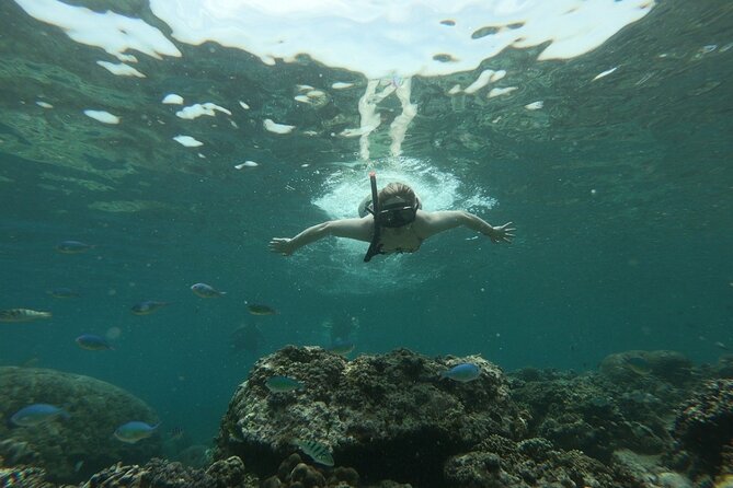 Gili island Snorkeling Half Day Trip departure from Gili Trawangan - Weather, cancellation, and practical planning