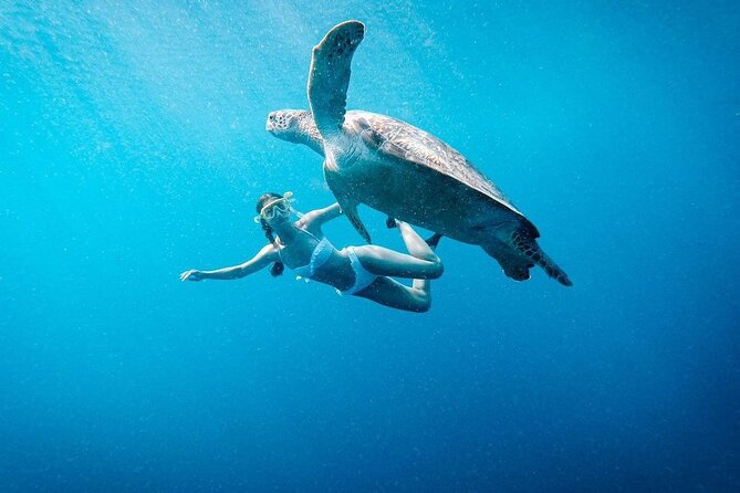 Gili Island Snorkeling Trip - Gili Trawangan, Gili Meno, & Gili Air, From Lombok - Key points to know before you book