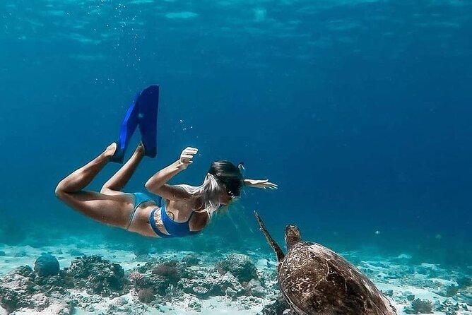 Gili Island Snorkeling Trip - Gili Trawangan, Gili Meno, & Gili Air, From Lombok - Guides, drivers, and the human side of the day