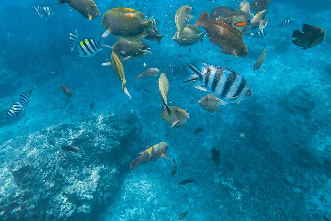 Gili Nanggu,Gili Kedis & Gili Sudak Hopping island & Snorkeling Tour - Gili Sudak: lunch, sand, and another swim