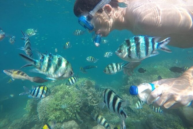 Gili Nanggu,Gili Kedis & Gili Sudak Hopping island & Snorkeling Tour - What the private format really adds