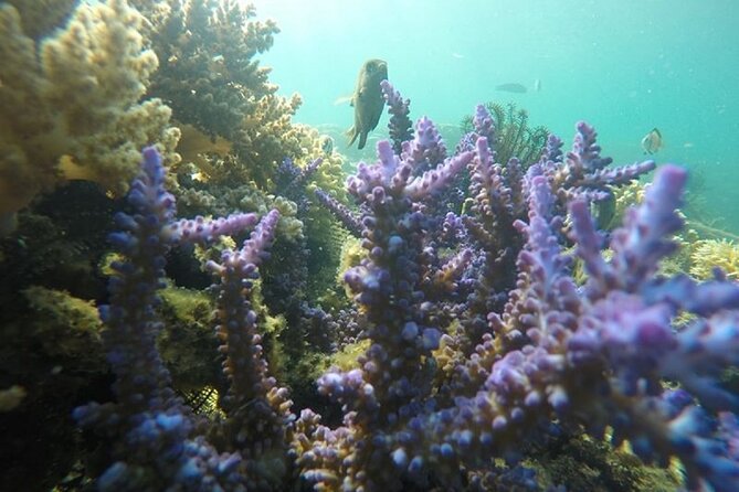 Gili Nanggu,Gili Kedis & Gili Sudak Hopping island & Snorkeling Tour - What to pack for a smoother day