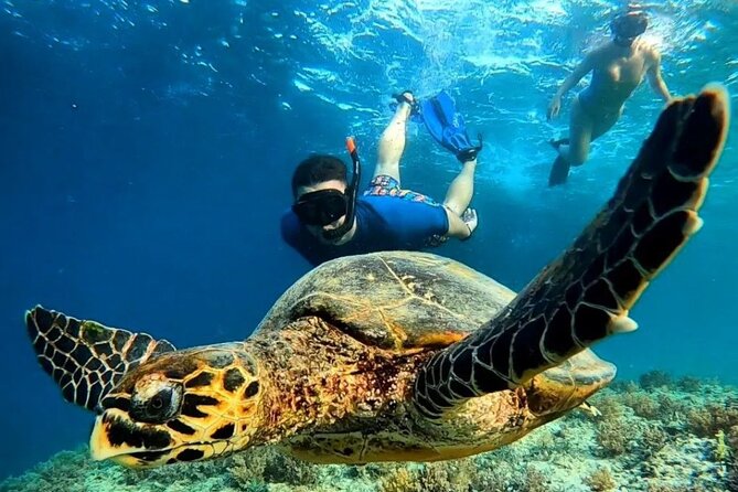 Gili Trawangan & Gili Air Snorkeling Tour Turtles & Statue - Quick points before you book