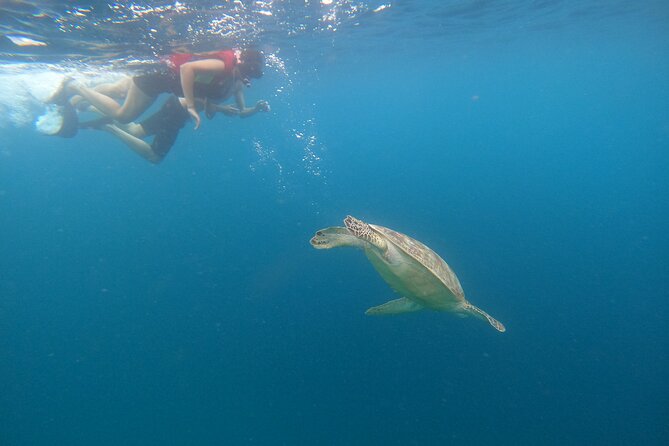 Gili Trawangan & Gili Air Snorkeling Tour Turtles & Statue - The underwater statues near Gili Meno