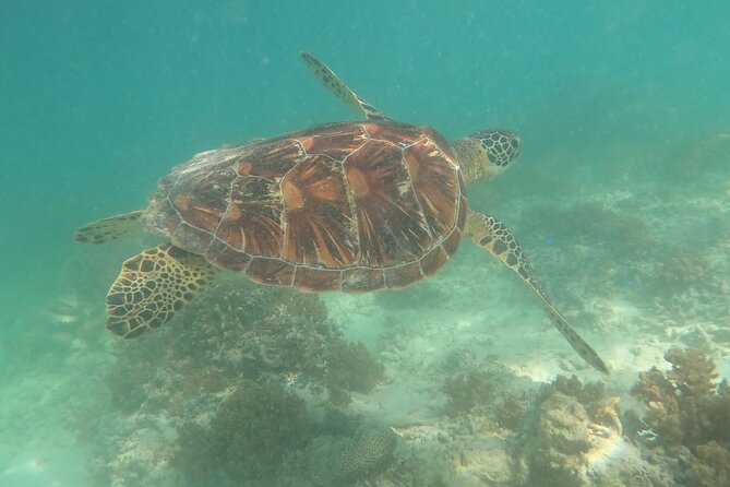 Gili Trawangan & Gili Air Snorkeling Tour Turtles & Statue - The island lunch stop