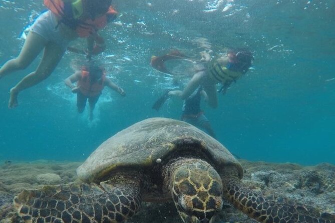 Gili Trawangan & Gili Air Snorkeling Tour Turtles & Statue - Crowds, timing, and the island pace