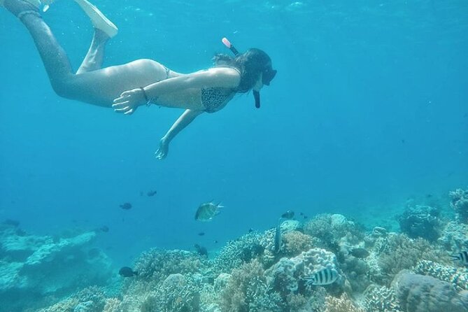 Gili Trawangan,Gili Meno& Gili Air Island:Snorkeling Day Trip Depart from Lombok - Gili Air: lunch and the fish garden