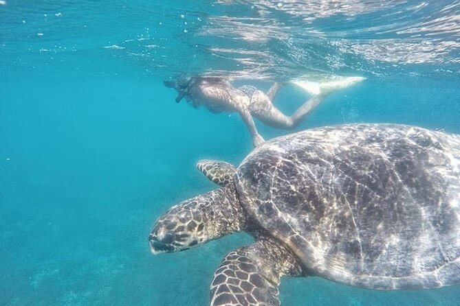 Gili Trawangan,Gili Meno& Gili Air Island:Snorkeling Day Trip Depart from Lombok - Guides who add value
