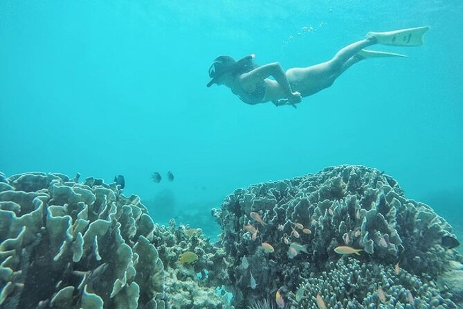 Gili Trawangan,Gili Meno& Gili Air Island:Snorkeling Day Trip Depart from Lombok - Starting at 7:30 a.m. from Lombok