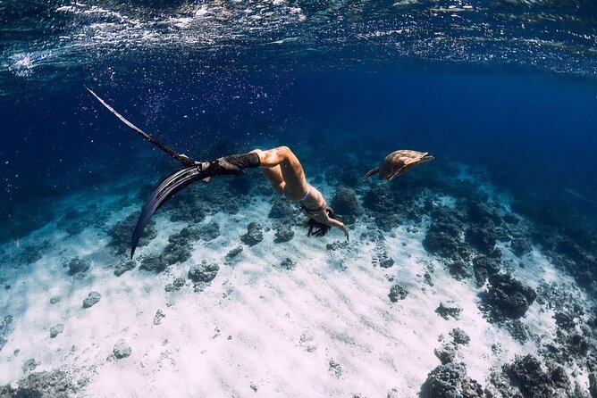 Gili Trawangan : Private Snorkeling with 3 spots or 4 spots - Four Gili Islands sights in one private boat trip