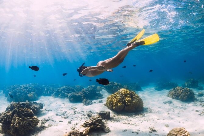 Gili Trawangan : Private Snorkeling with 3 spots or 4 spots - Sea turtles in a protected natural area