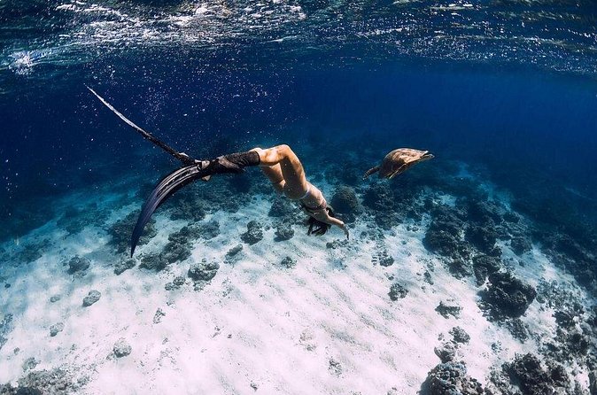 Gili Trawangan : Private Snorkeling with 3 spots or 4 spots - The one-hour break on Gili Air or Gili Meno