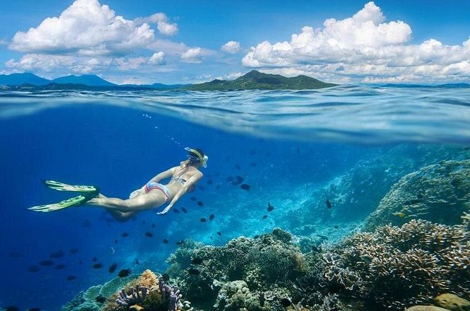 Gili Trawangan : Private Snorkeling with 3 spots or 4 spots - Why the private format is worth the price