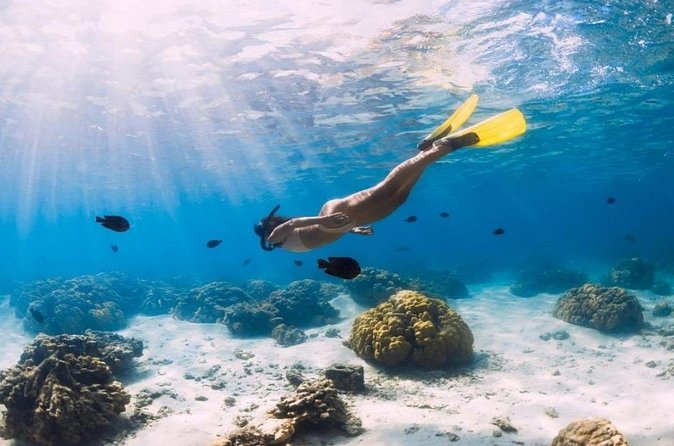 Gili Trawangan : Private Snorkeling with 3 spots or 4 spots - Which guides and crew details matter most