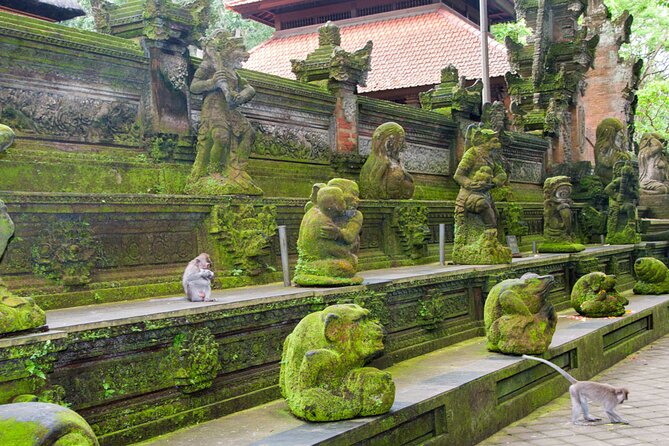 Goa Gajah / Elephant Cave Temple And Ubud Tour - All Inclusive - Lunch with jungle views at d’Alas Warung
