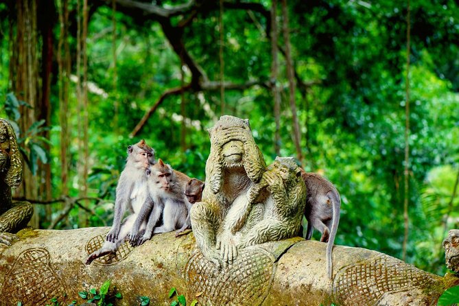 Goa Gajah / Elephant Cave Temple And Ubud Tour - All Inclusive - Goa Gajah and its carved cave entrance